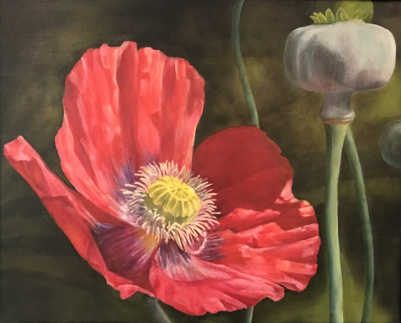 Zilker Poppy by artist Pat Flathouse